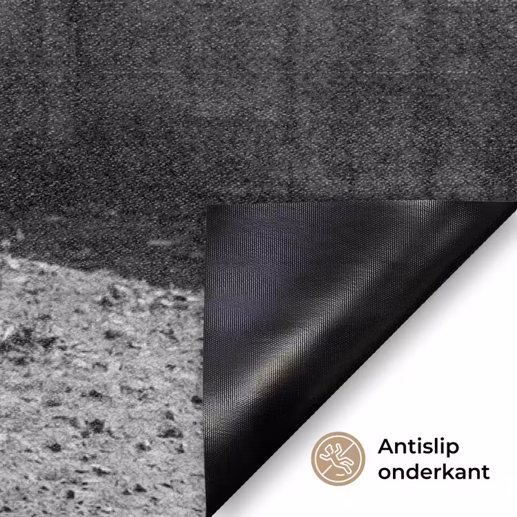 Deurmat - Vrouw - Paard - Artistiek — 5