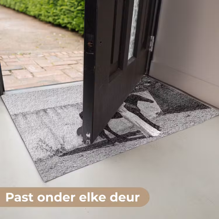 Deurmat - Vrouw - Paard - Artistiek — 6