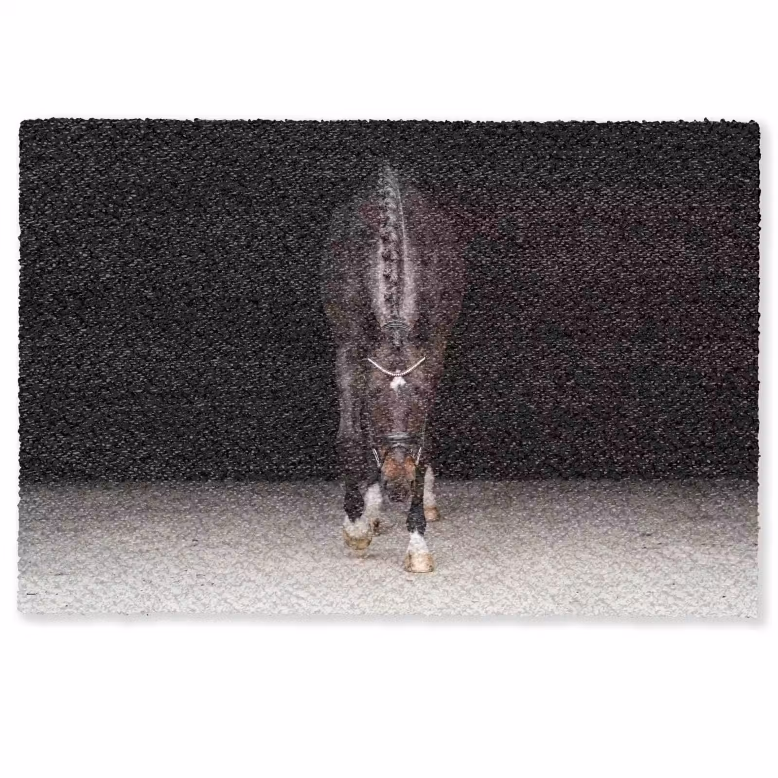 Deurmat - Paard - Modern - Portret — 1