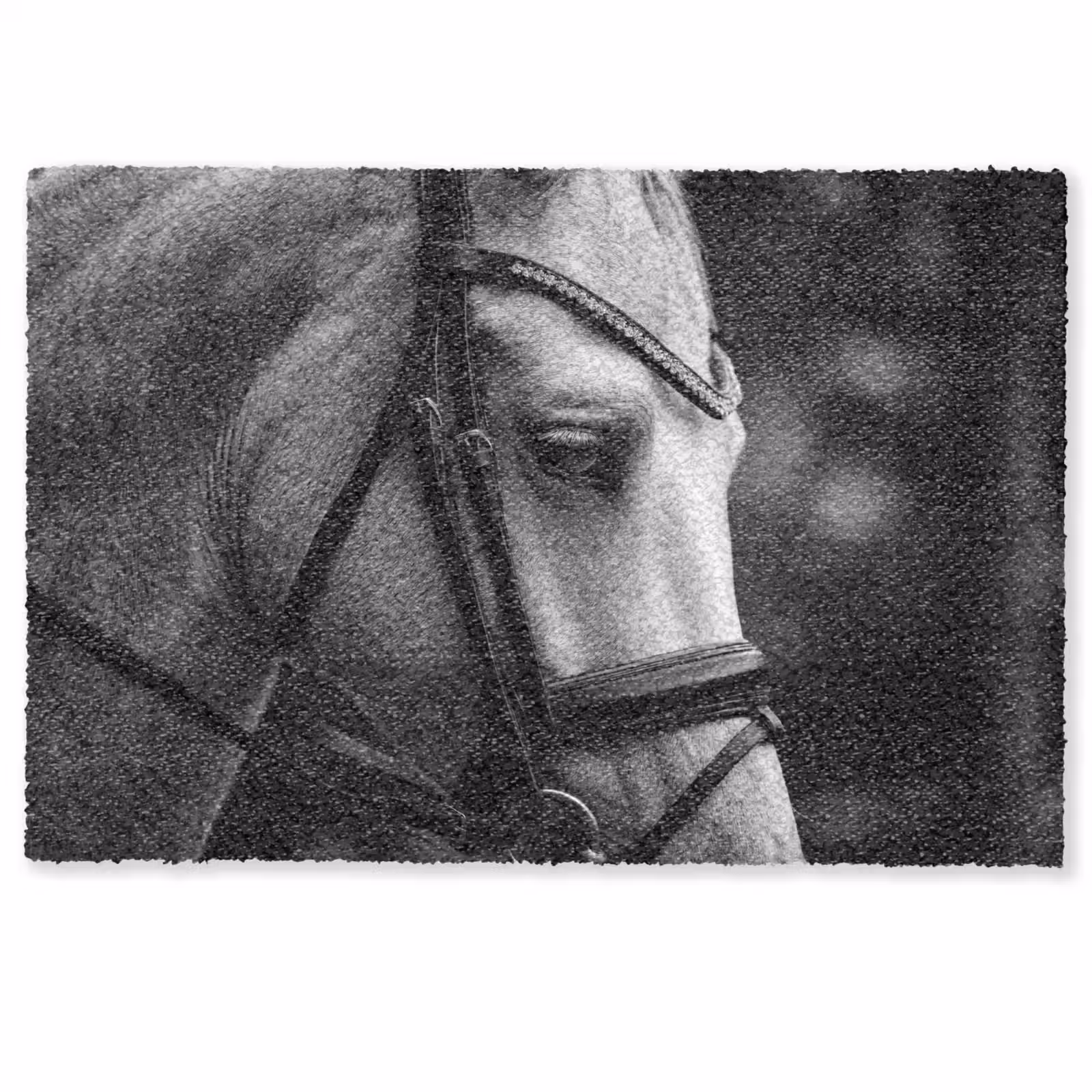 Deurmat - Paard - Schimmel - Portret — 1