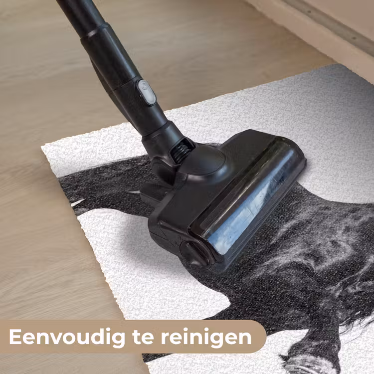 Deurmat - Fries - Hengst - Modern — 8