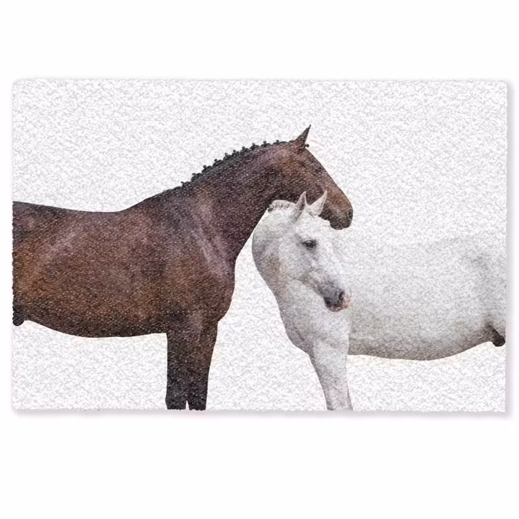 Deurmat - Paard - Modern - Balans — 1