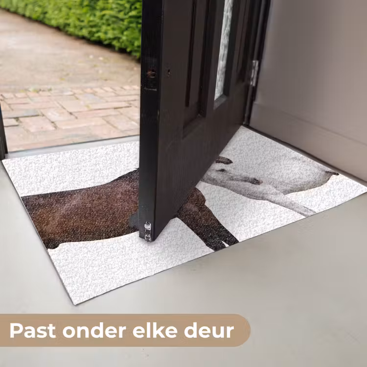 Deurmat - Paard - Modern - Balans — 6