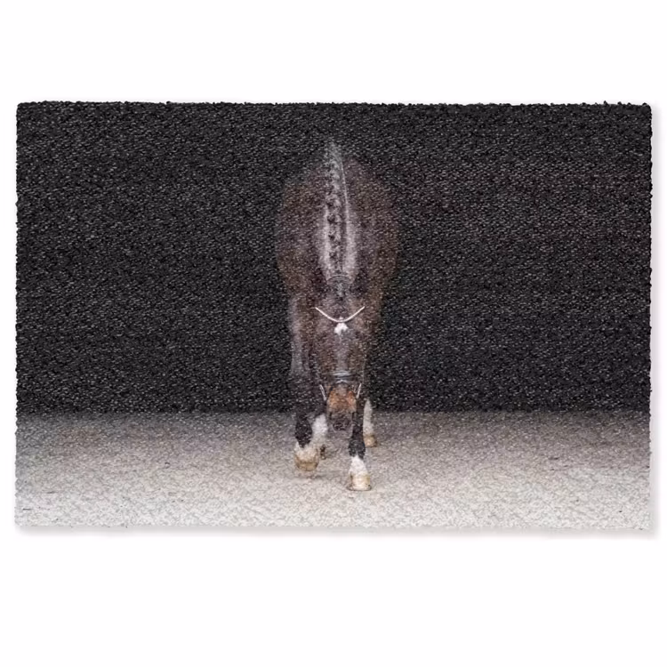 Deurmat - Paard - Modern - Portret — 1