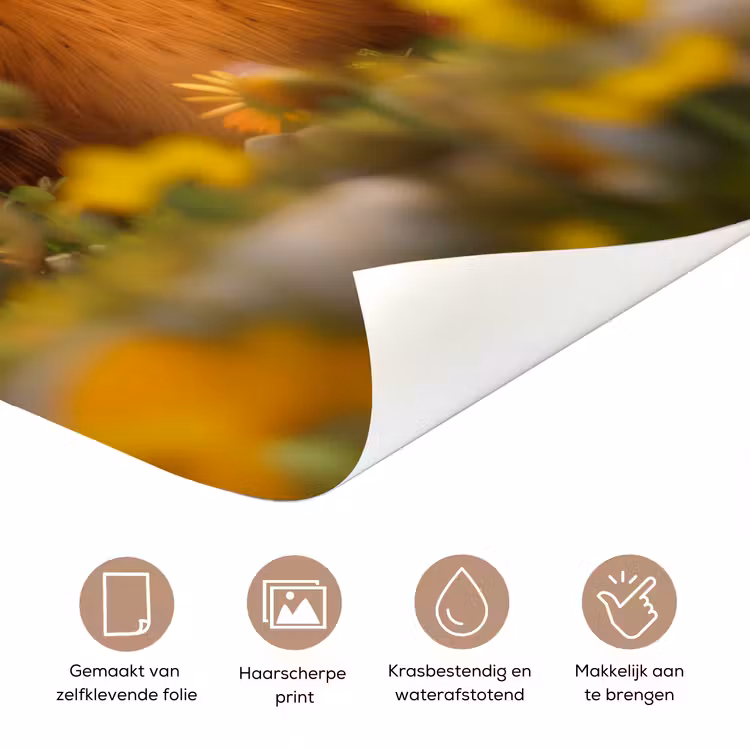 Deursticker - Bever - Dier - Bouwhelm - Natuur — 3