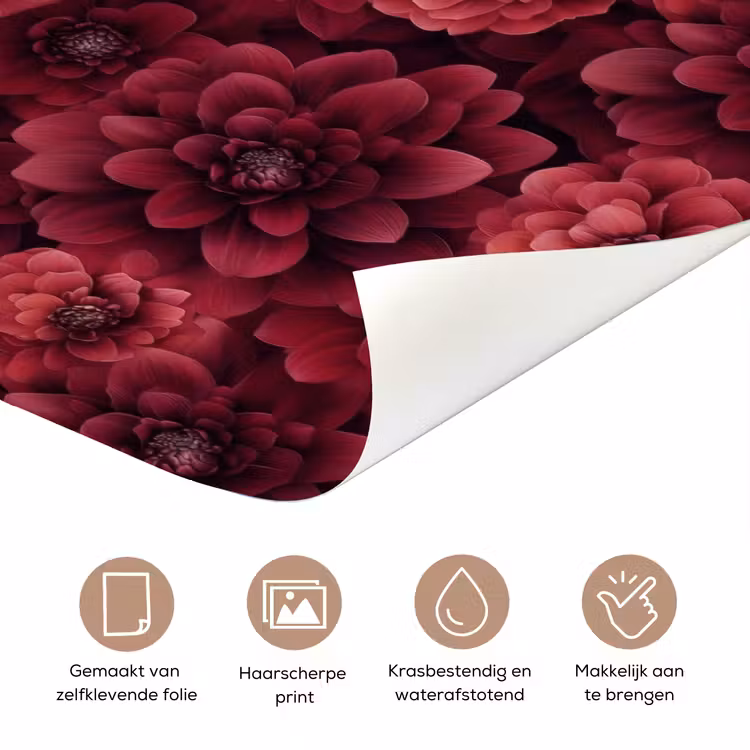 Deursticker - Dahlias - Bloemen - Rood — 3
