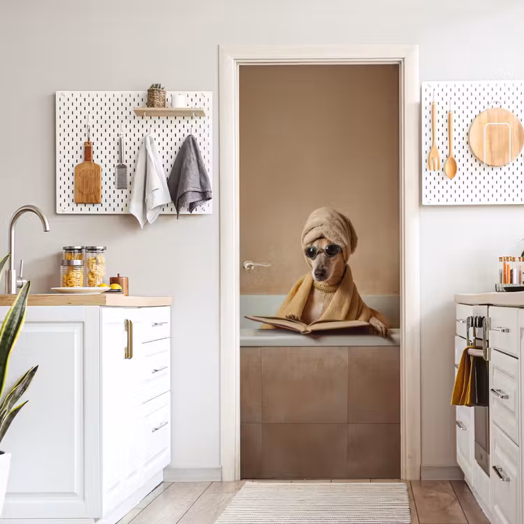 Deursticker - Bad - Hond - Boek - Zonnebril — 7