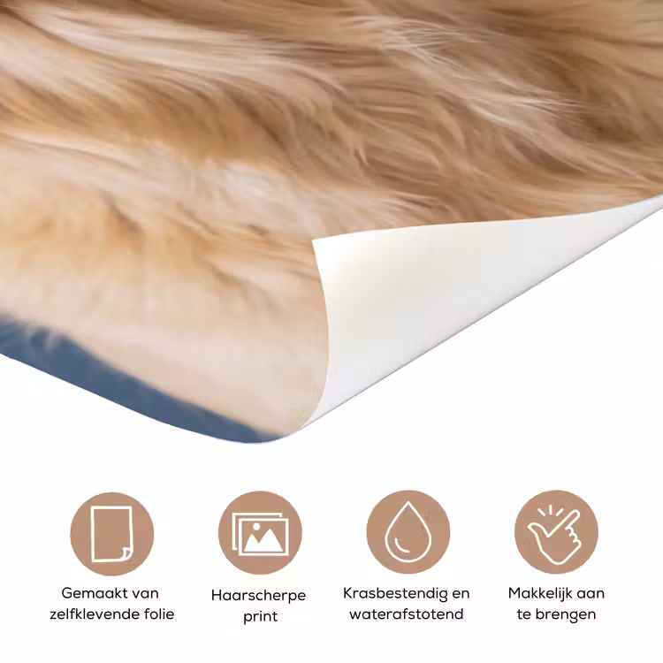 Deursticker - Hond - Badeend - Geel — 3