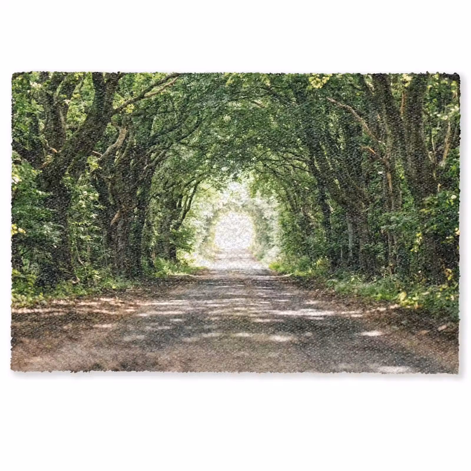 Deurmat - Weg - Bomen - Natuur - Groen — 1
