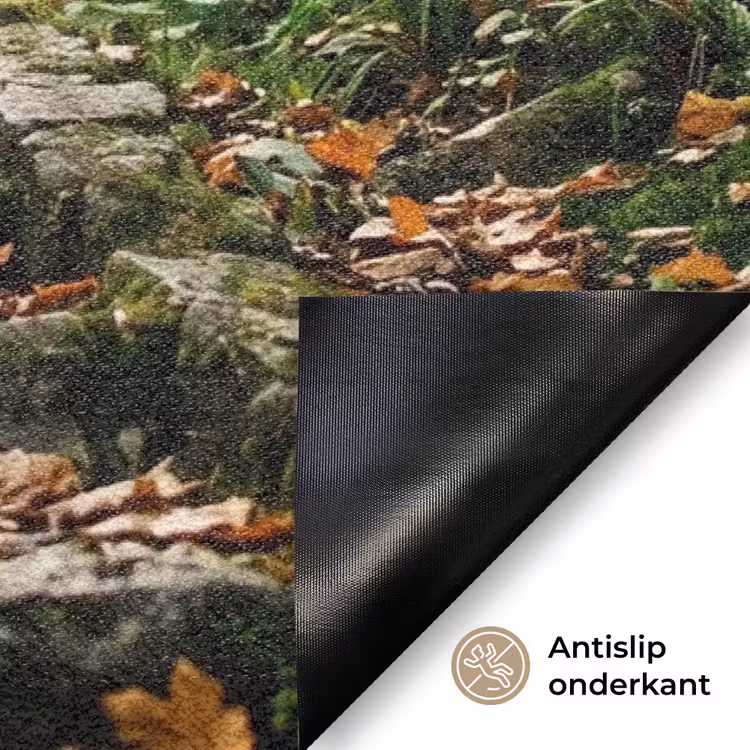 Deurmat - Stenen - Trap - Bos - Natuur — 6