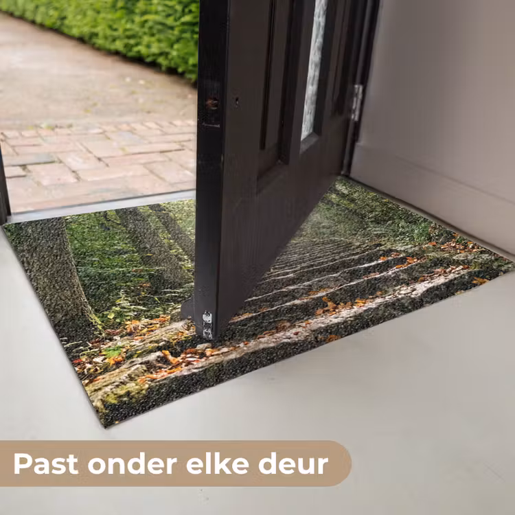 Deurmat - Stenen - Trap - Bos - Natuur — 7