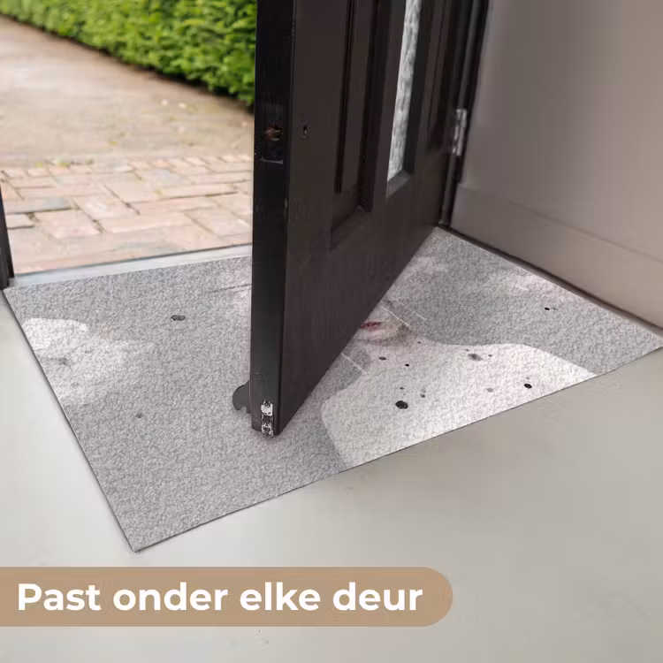 Deurmat - Vrouw - Wolk - Grijs — 7