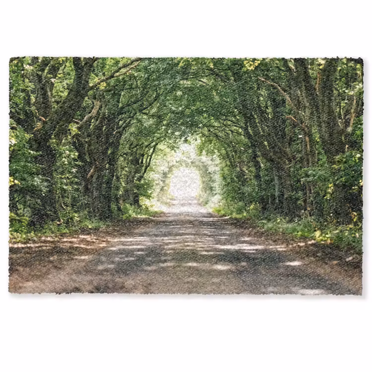 Deurmat - Weg - Bomen - Natuur - Groen — 1