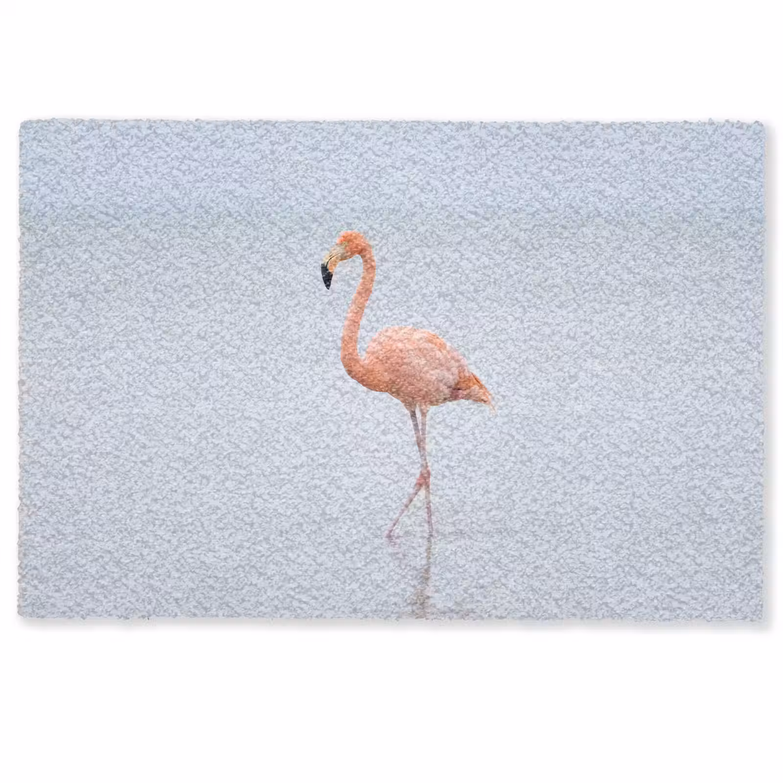 Deurmat - Flamingo - Zee - Roze — 1