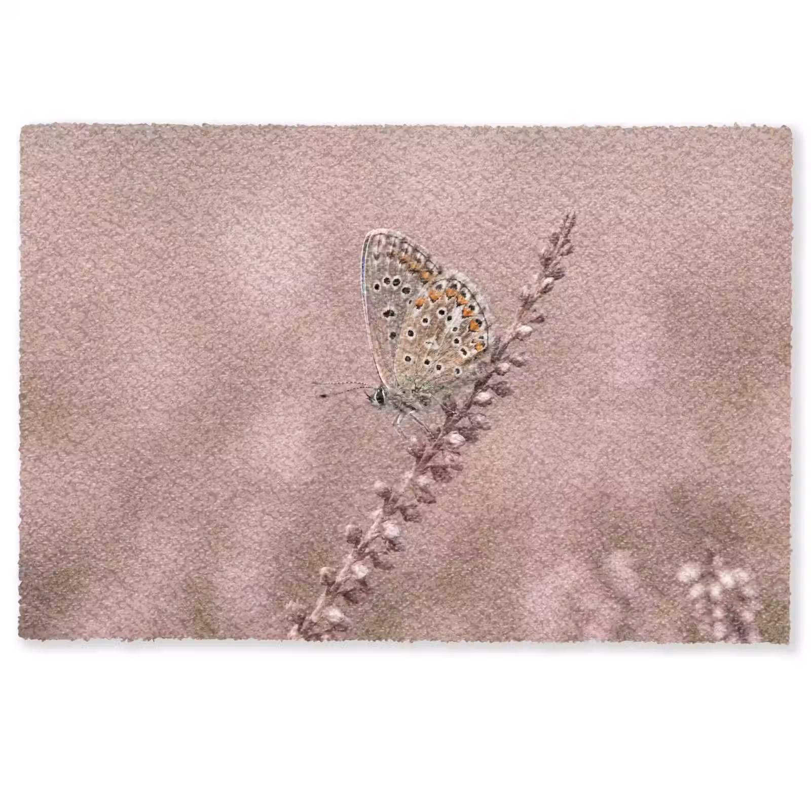 Deurmat - Lavendel - Vlinder - Paars — 1