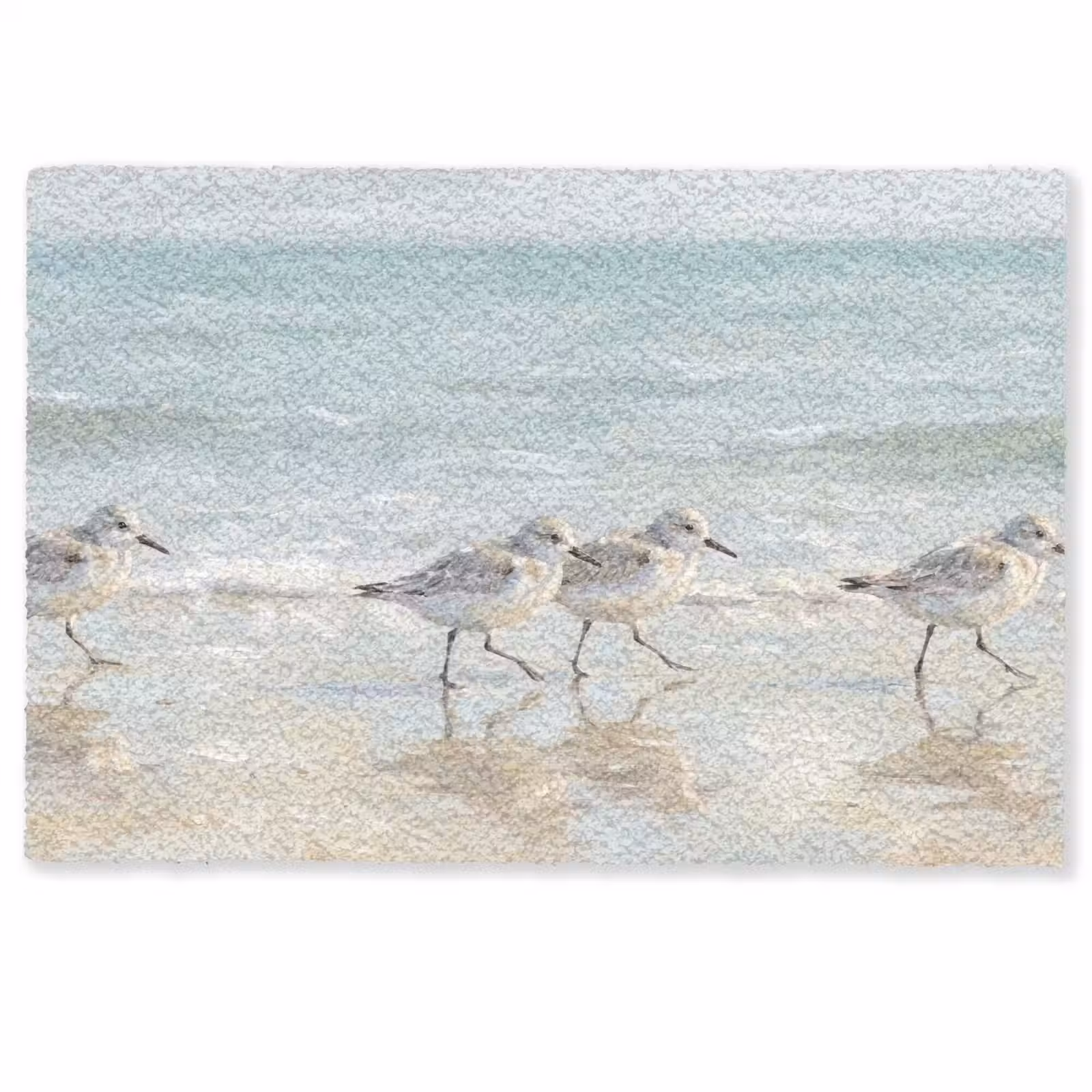 Deurmat - Vogels - Strand - Zee — 1