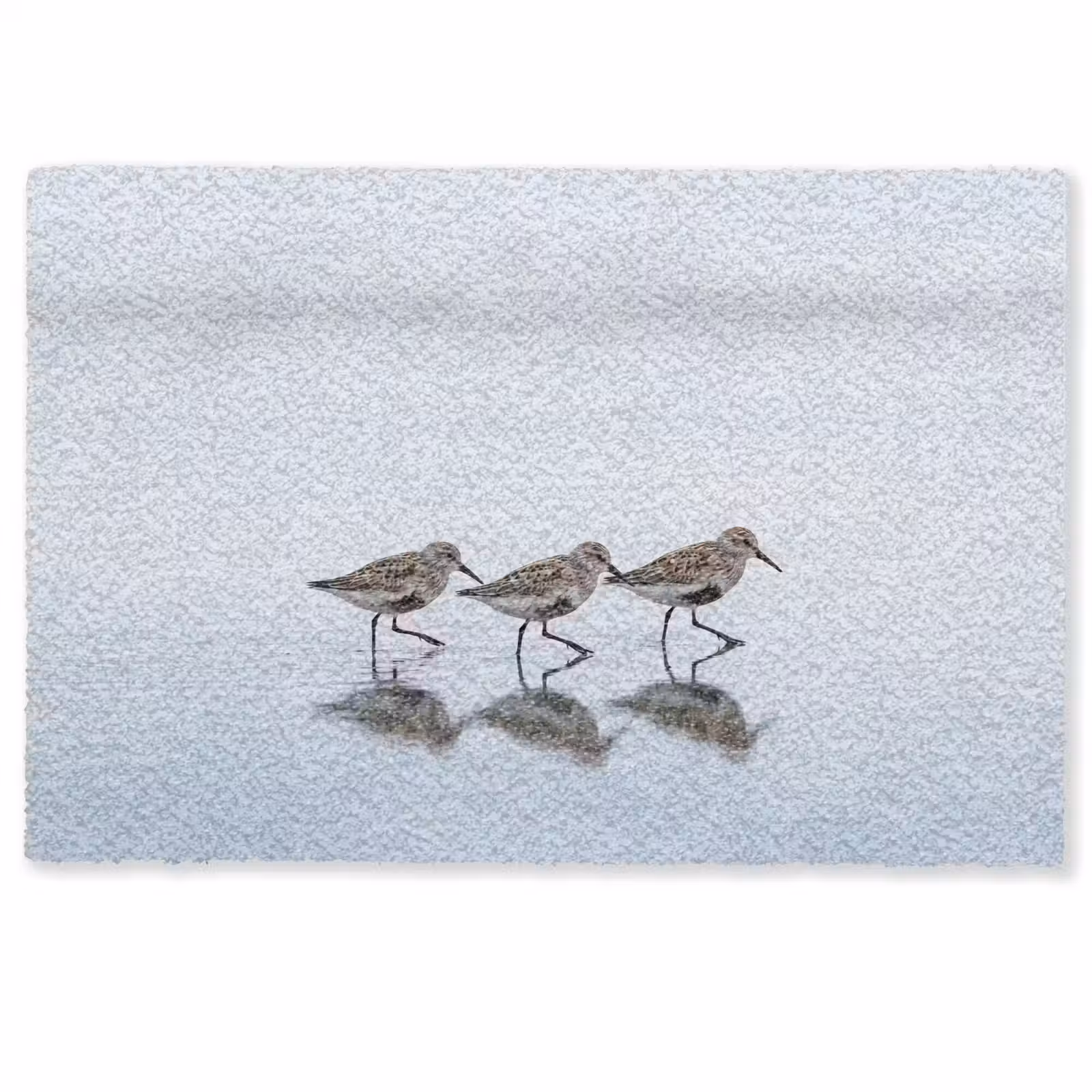 Deurmat - Vogels - Water - Grijs — 1