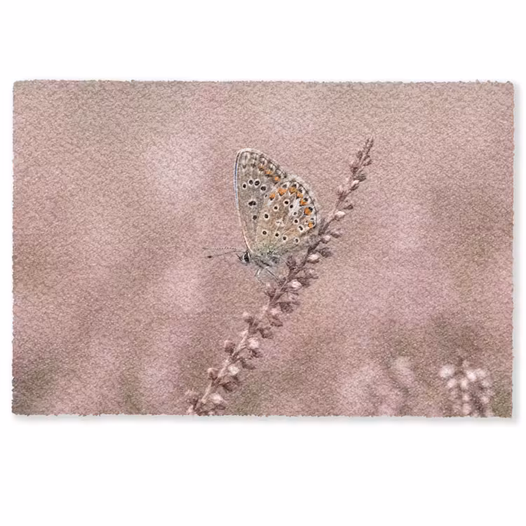 Deurmat - Lavendel - Vlinder - Paars — 1