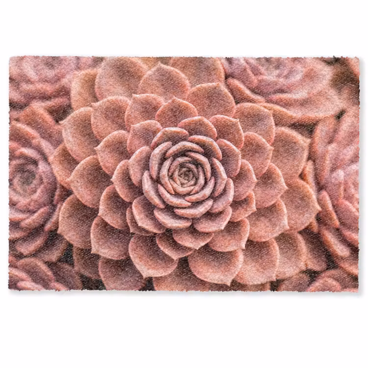 Deurmat - Vetplant - Organisch - Roze — 1