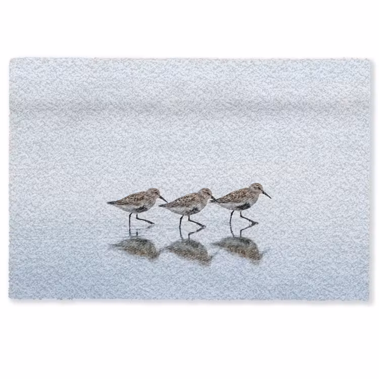 Deurmat - Vogels - Water - Grijs — 1