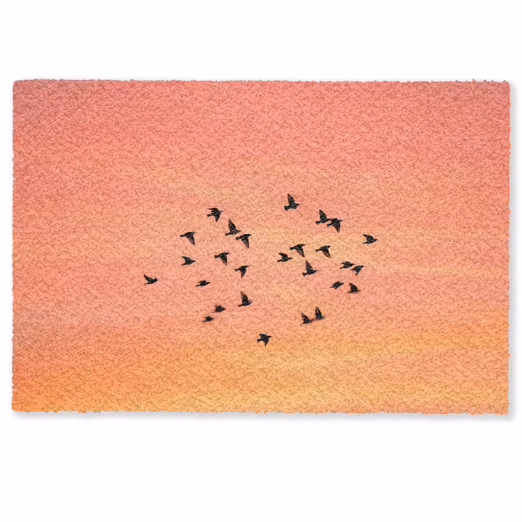 Deurmat - Zwerm - Vogels - Oranje — 1