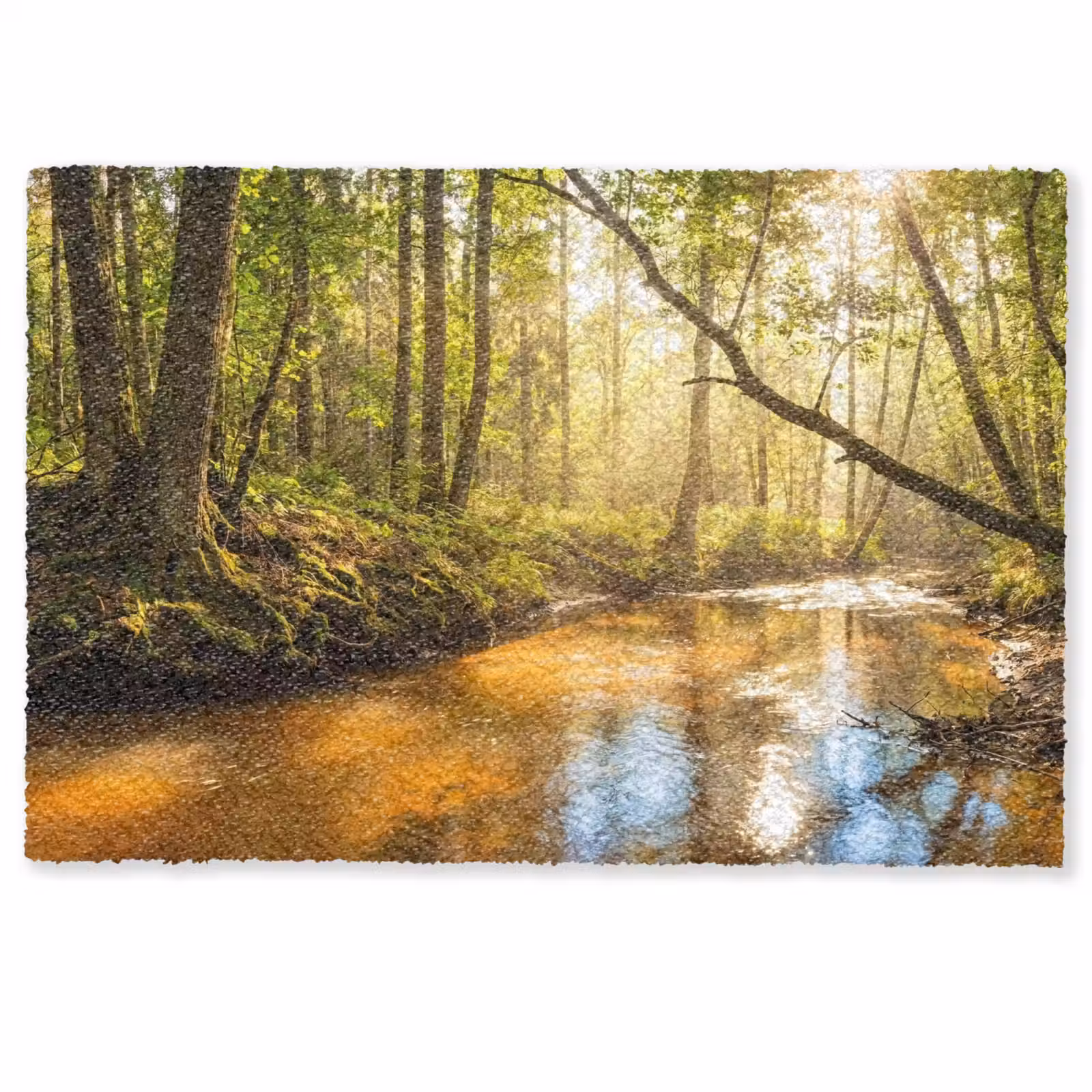 Deurmat - Bos - Beek - Zonlicht - Natuur - Groen — 1