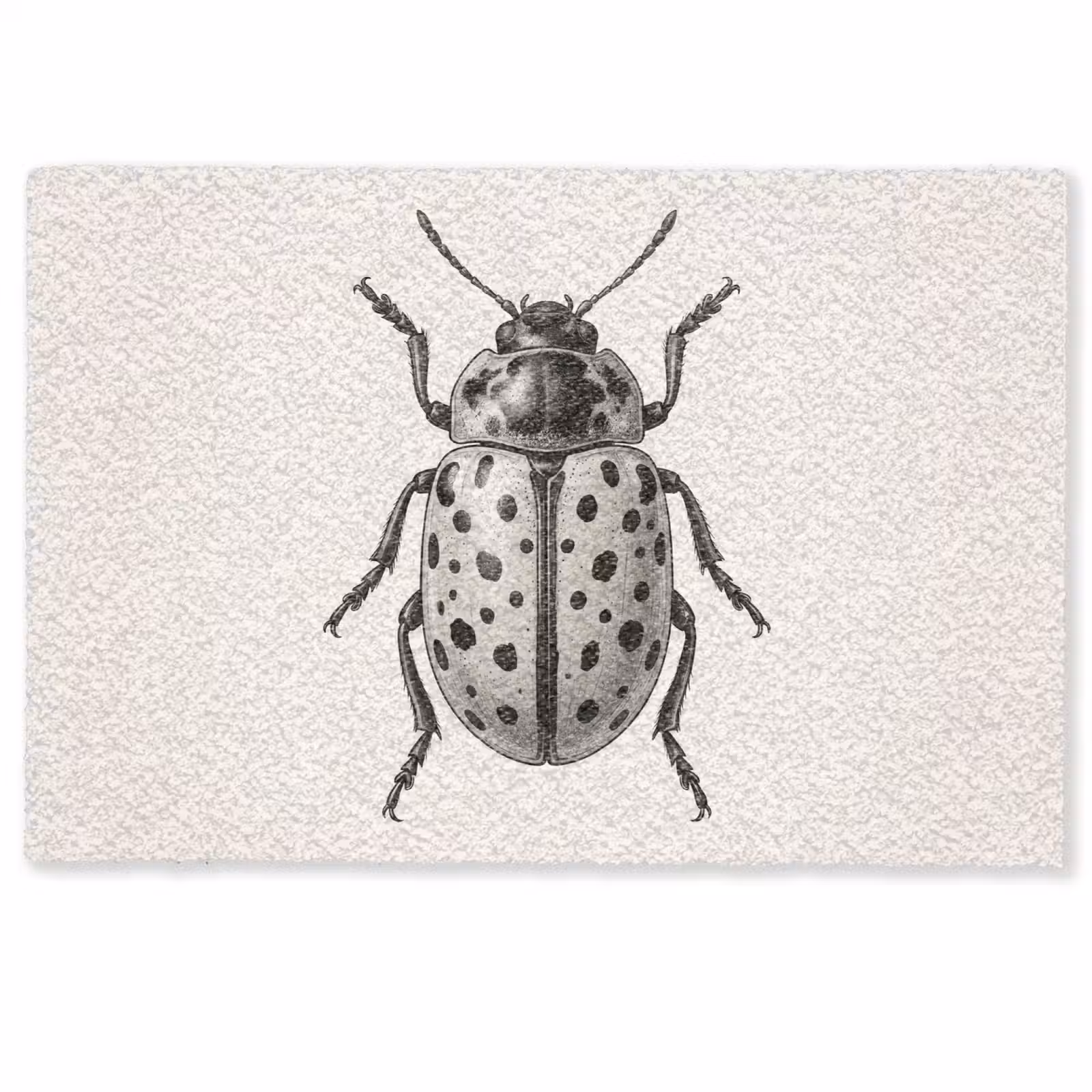 Deurmat - Kever - Insect - Vintage — 1