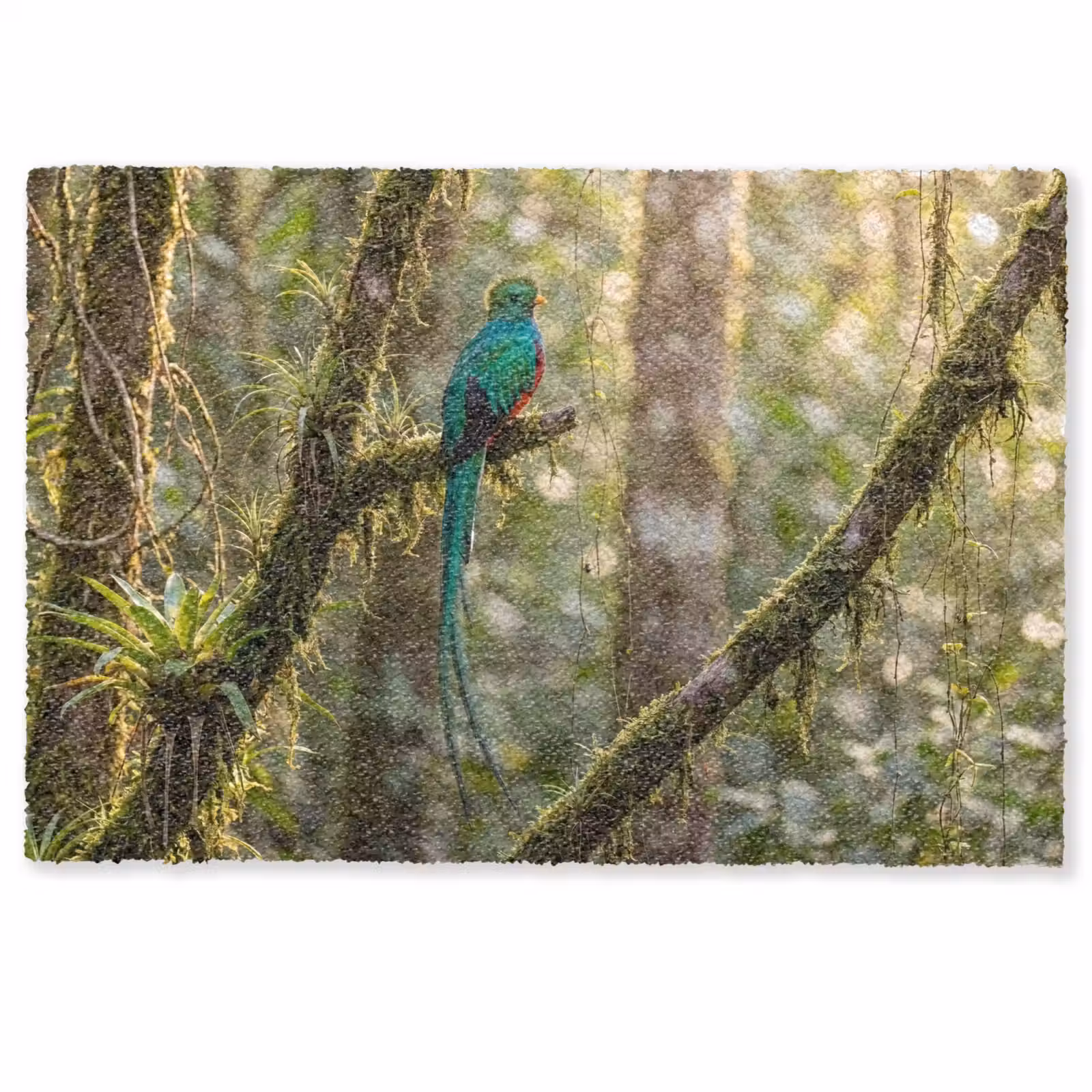 Deurmat - Quetzal - Jungle - Natuur - Groen — 1