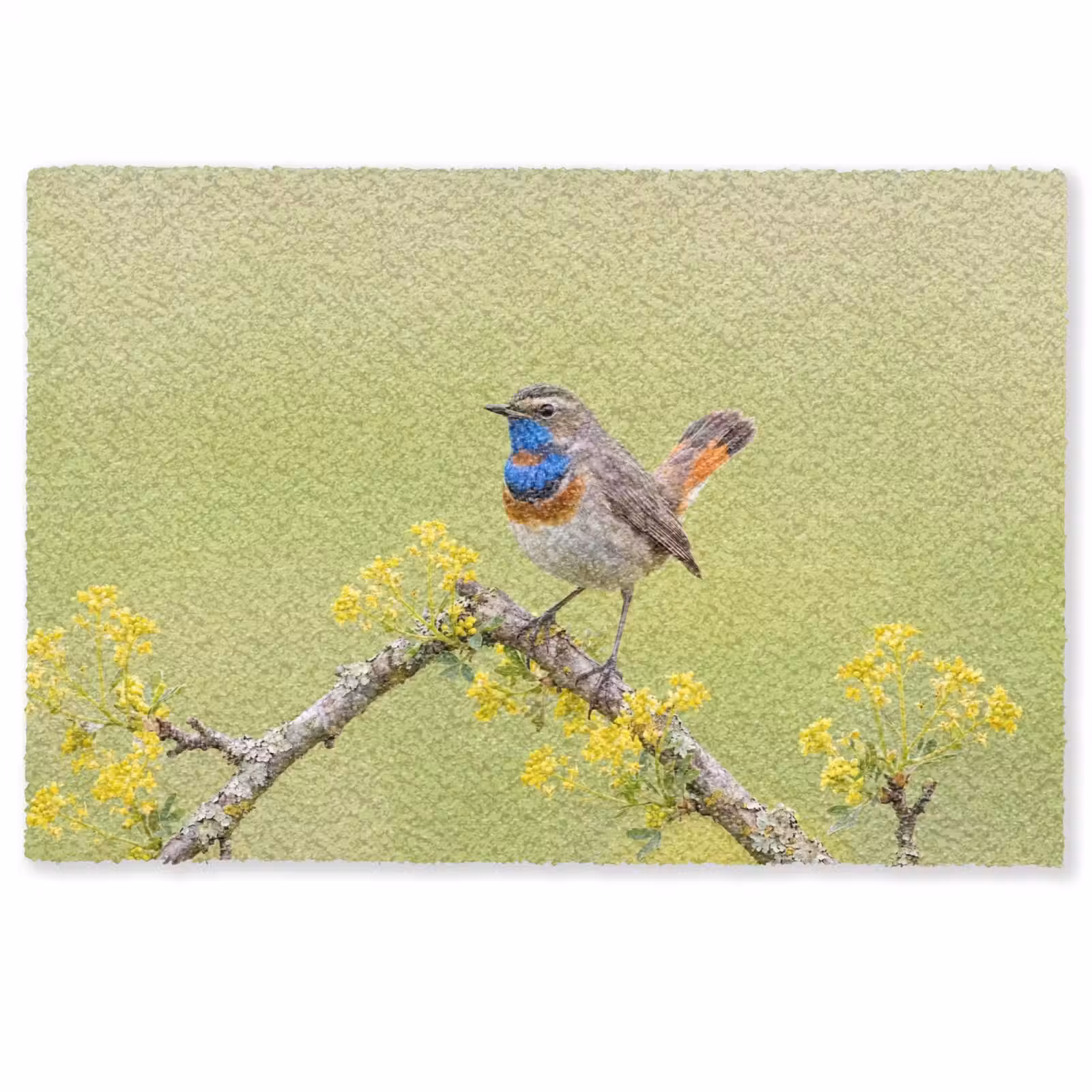 Deurmat - Vogel - Tak - Natuur - Kleurrijk — 1