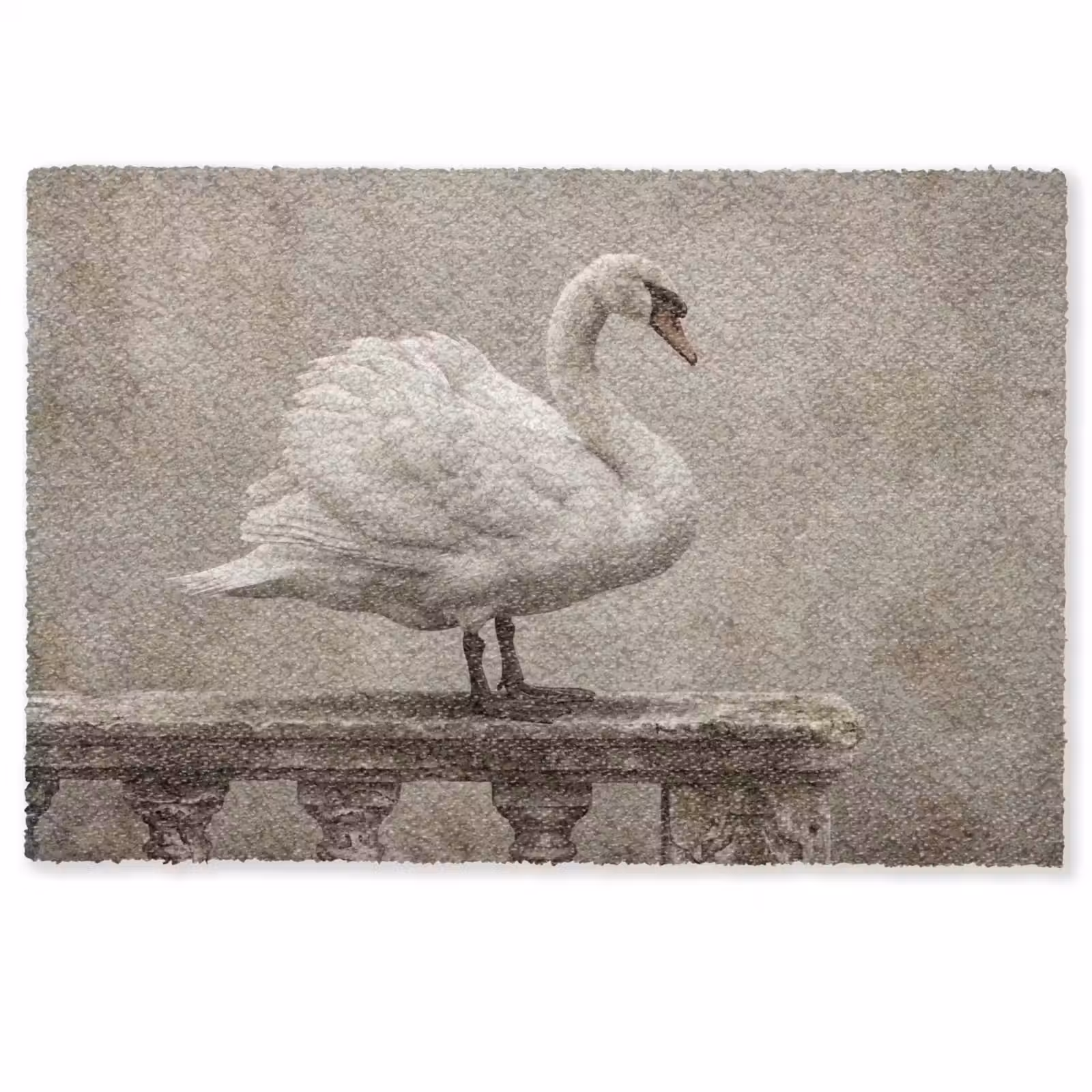 Deurmat - Zwaan - Elegant - Dieren - Wit — 1