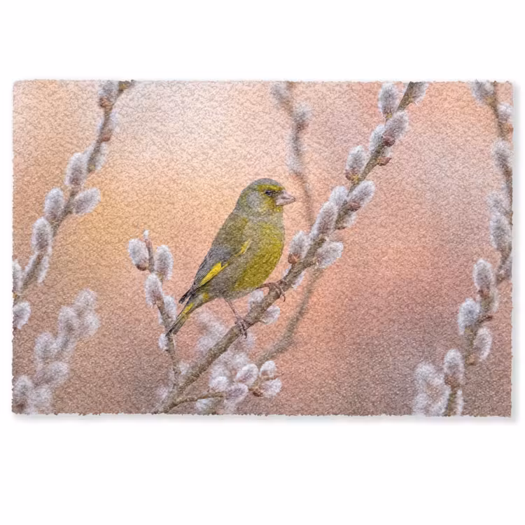 Deurmat - Groenling - Katjes - Lente - Natuur - Zacht — 1