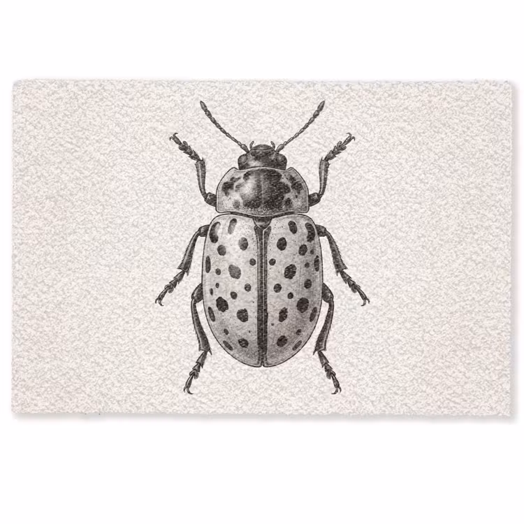 Deurmat - Kever - Insect - Vintage — 1