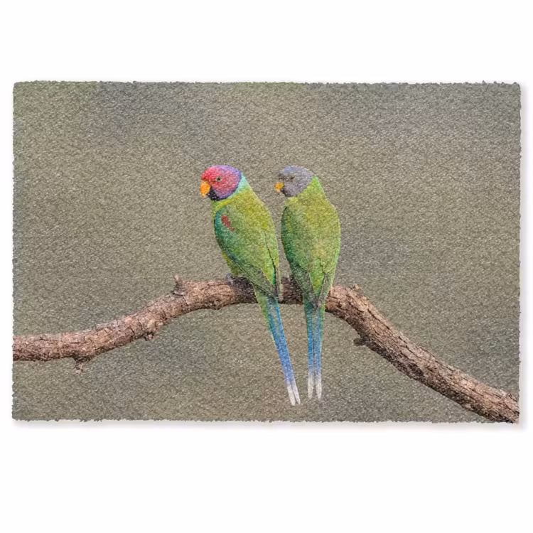 Deurmat - Papagaai - Tak - Natuur - Kleurrijk — 1