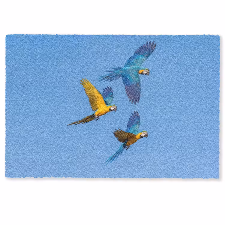 Deurmat - Papagaai - Vliegen - Blauw - Geel — 1