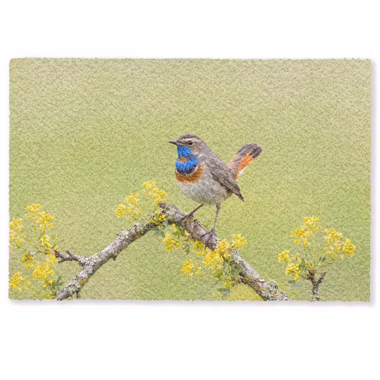 Deurmat - Vogel - Tak - Natuur - Kleurrijk — 1