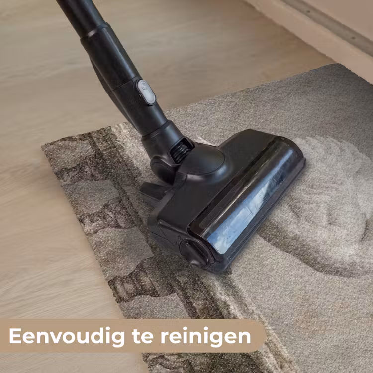 Deurmat - Zwaan - Elegant - Dieren - Wit — 9