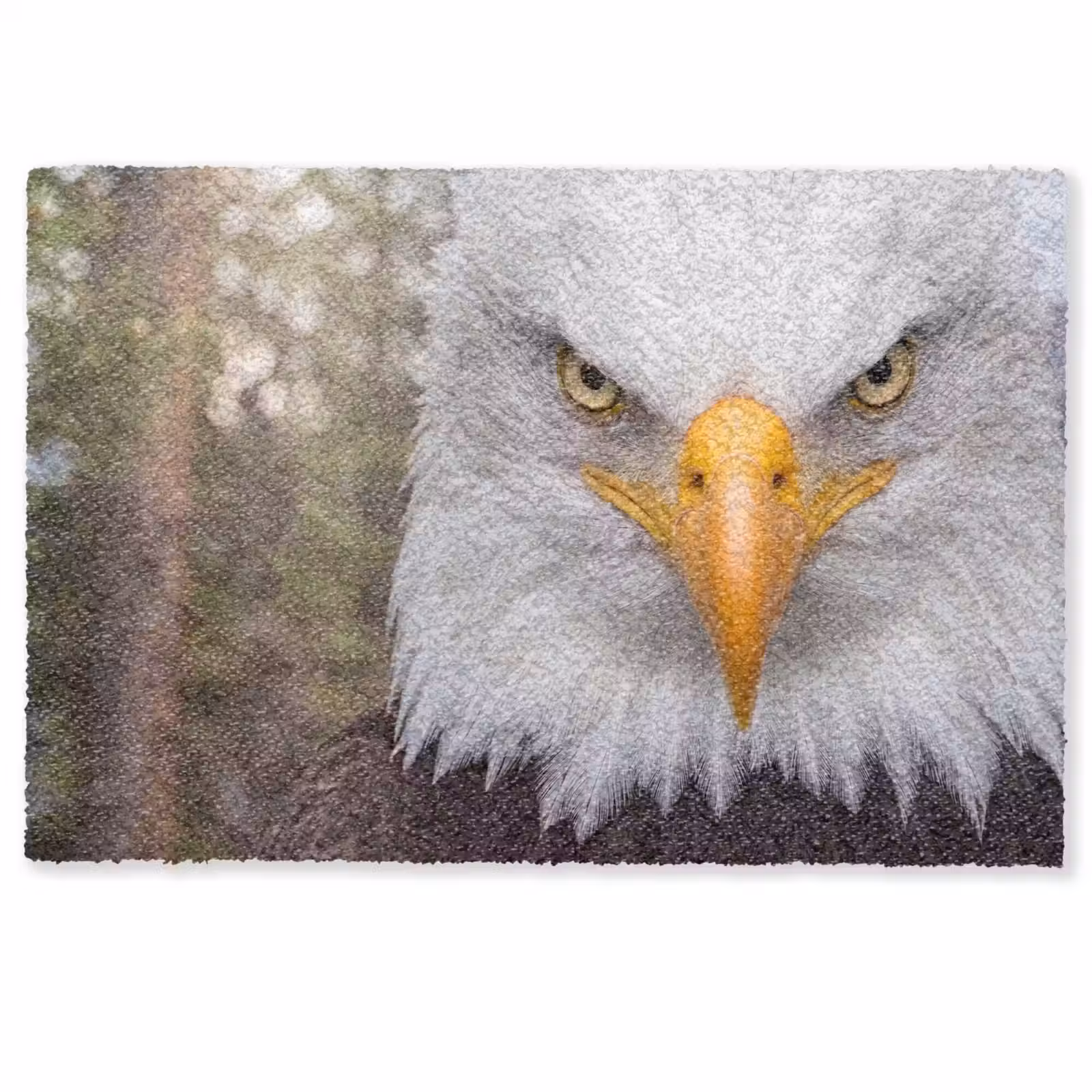 Deurmat - Amerikaans - Zeearend - Portret - Geel — 1