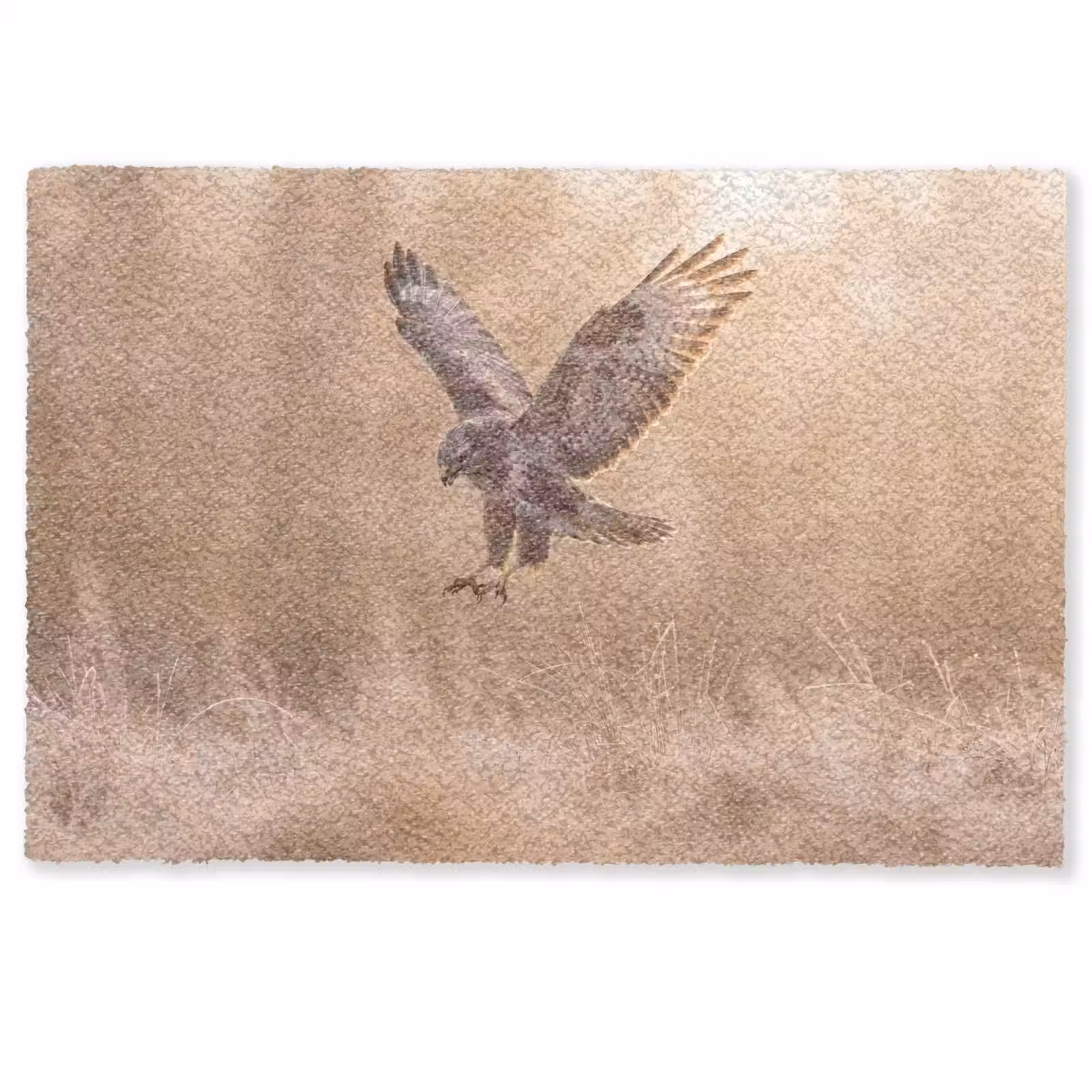 Deurmat - Buizerd - Roofvogel - Natuur - Bruin — 1