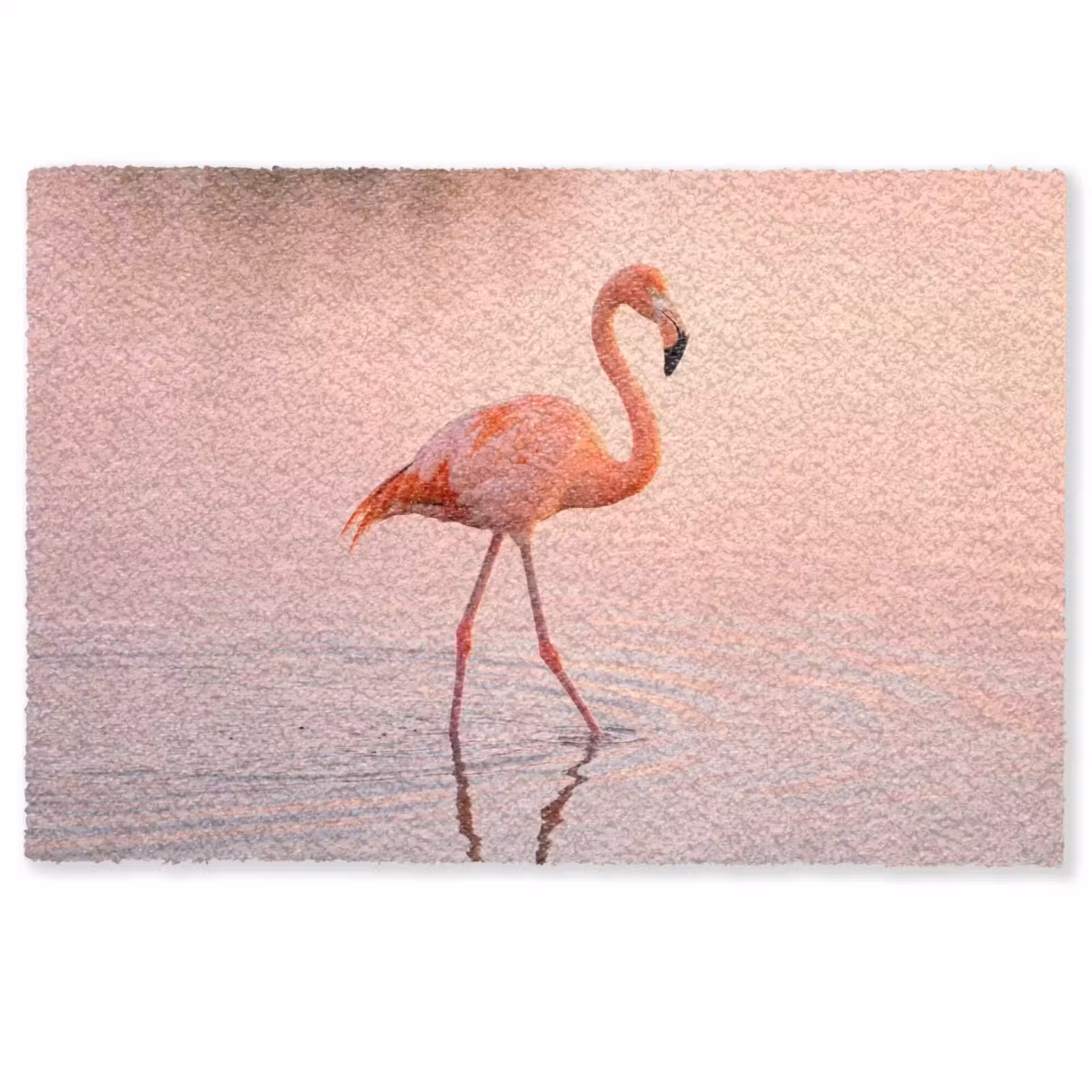 Deurmat - Flamingo - Water - Roze — 1