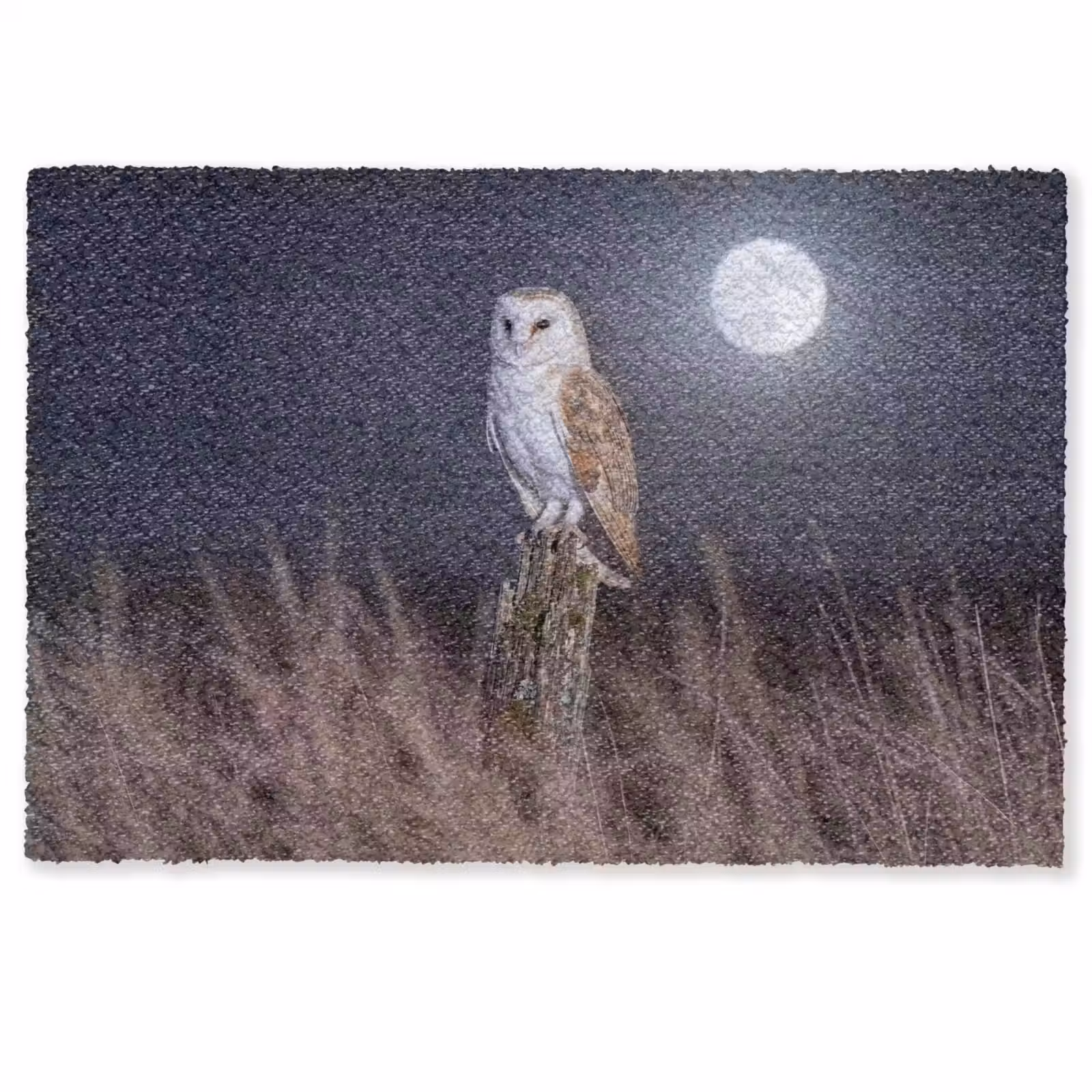 Deurmat - Kerkuil - Maan - Nacht — 1