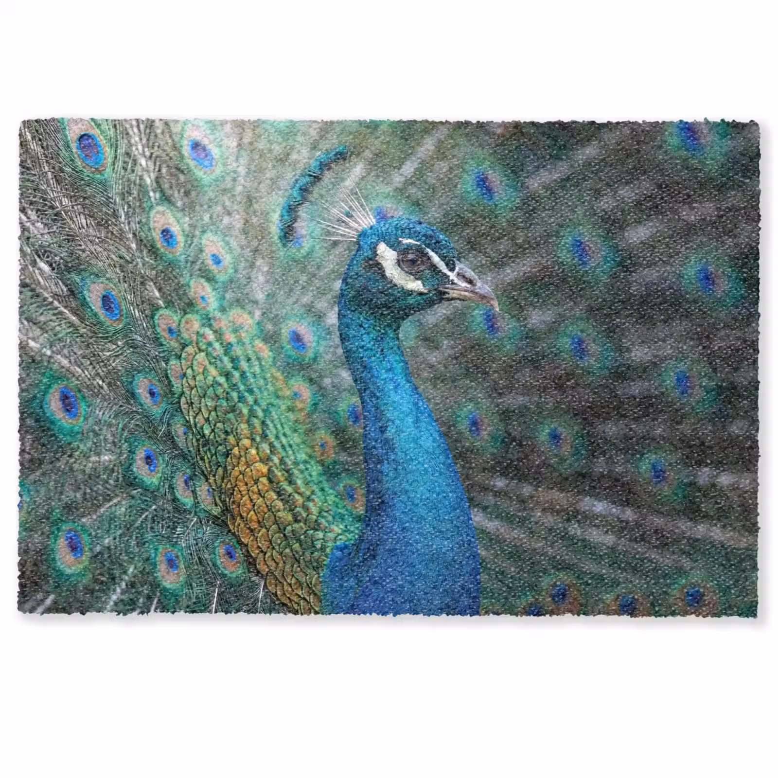Deurmat - Pauw - Veren - Blauw — 1