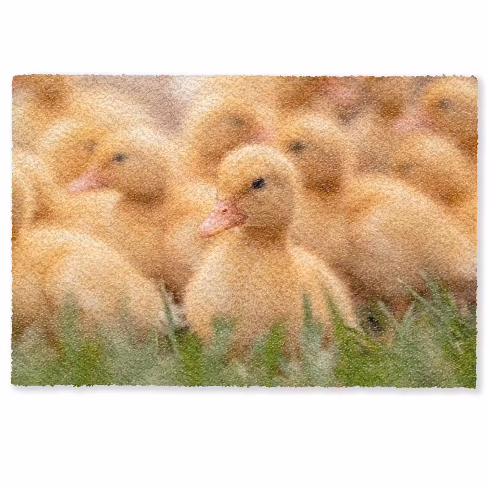 Deurmat - Pijltje - Eend - Natuur - Geel — 1