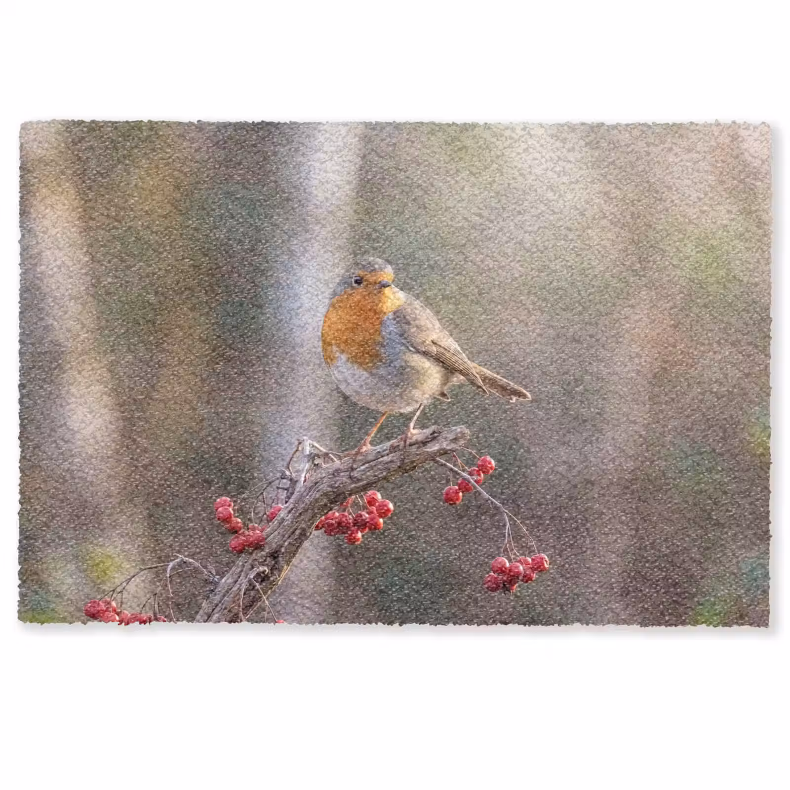 Deurmat - Roodborst - Tak - Bessen - Natuur — 1