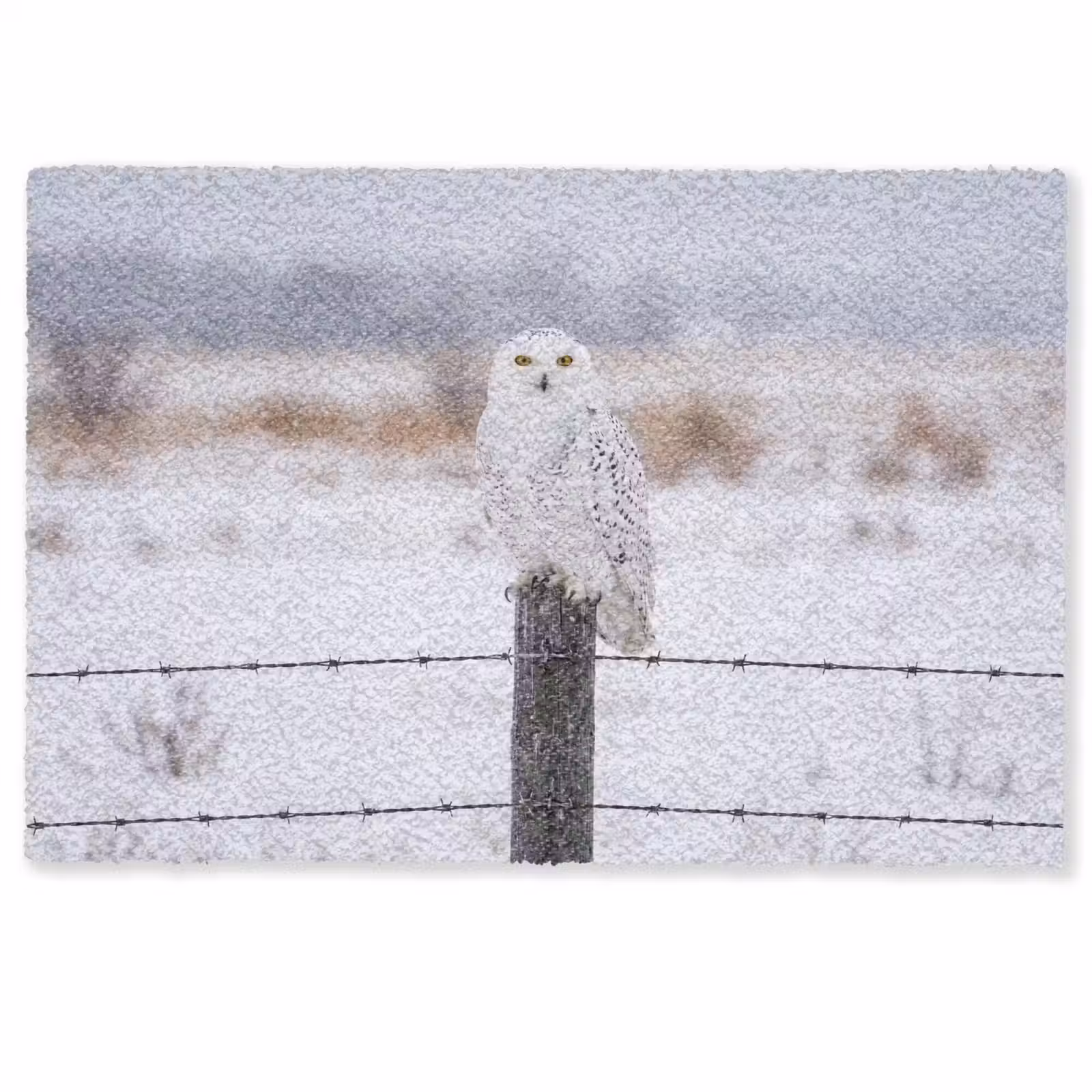 Deurmat - Sneeuwuil - Hek - Sneeuw - Wit — 1