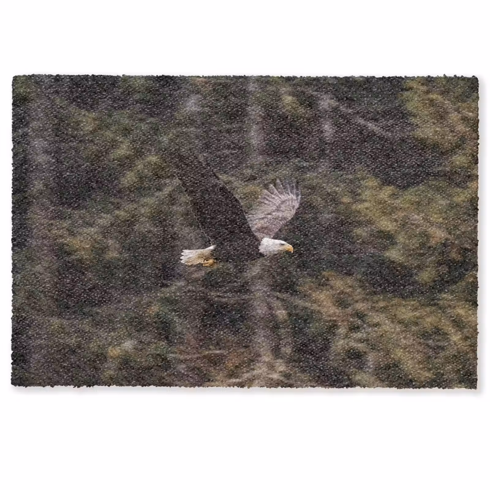 Deurmat - Zeearend - Vliegen - Bos - Natuur — 1