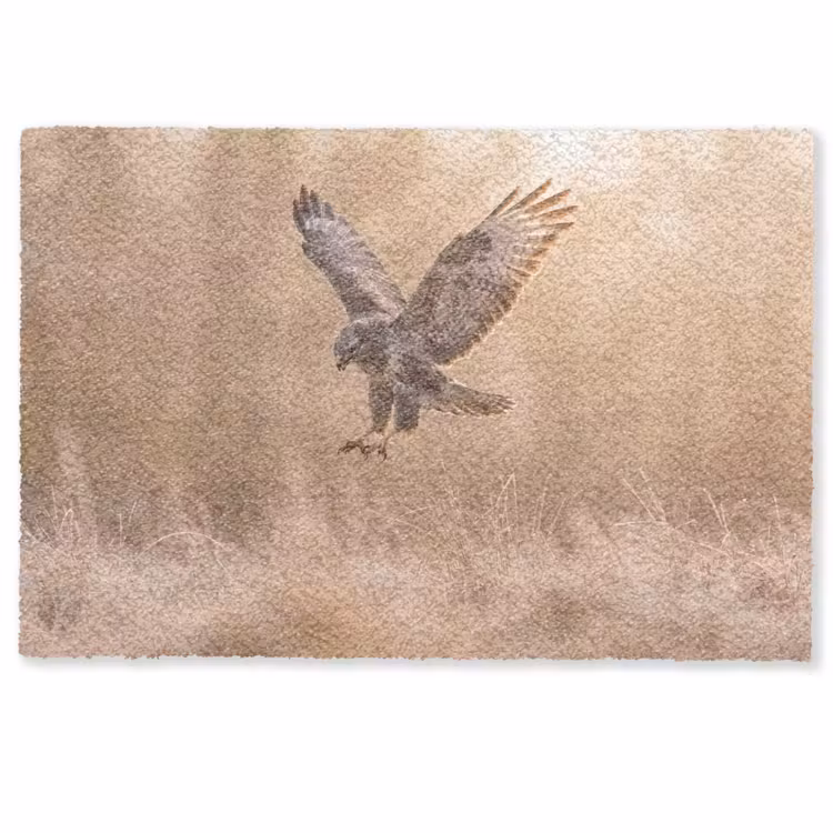 Deurmat - Buizerd - Roofvogel - Natuur - Bruin — 1