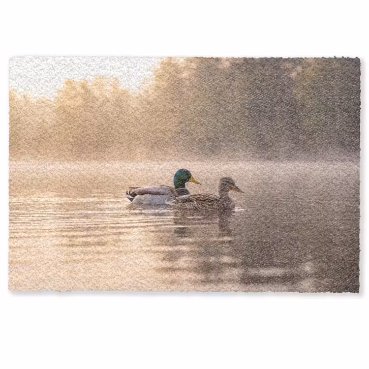 Deurmat - Eenden - Water - Mist - Natuur — 1