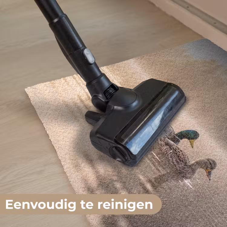 Deurmat - Eenden - Water - Mist - Natuur — 9