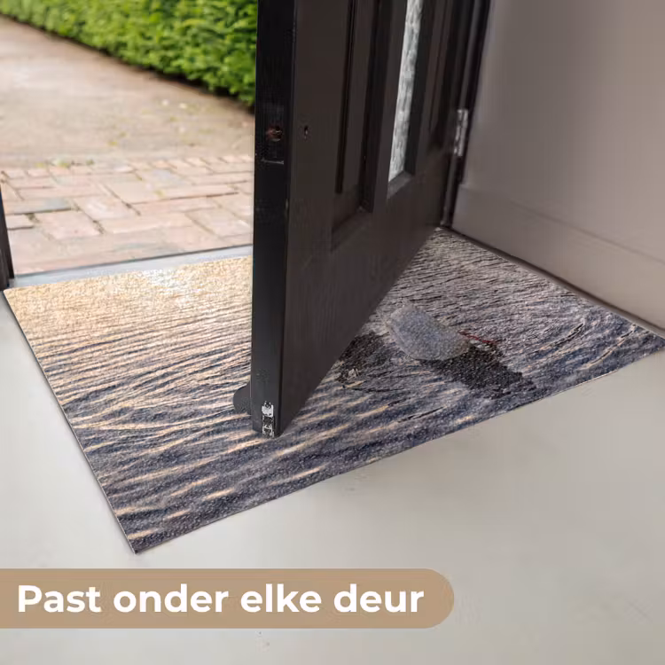 Deurmat - Eenden - Water - Natuur — 7