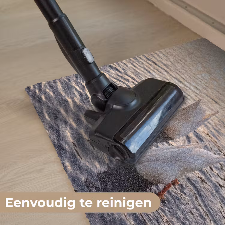 Deurmat - Eenden - Water - Natuur — 9